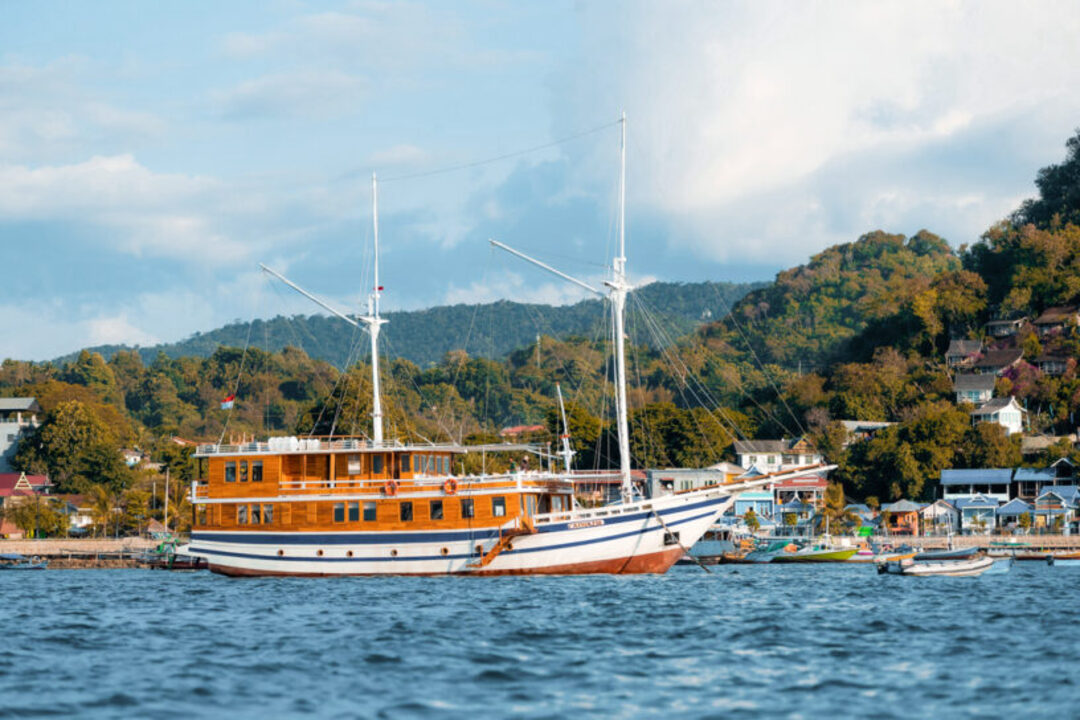 Open Trip 3D2N by Catnazse Luxury Phinisi - Komodo Sharing Tours